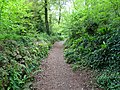 Le sentier botanique de découverte végétale de Lanrien.