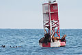 Off the coast of Santa Barbara, California