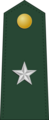 Brigadier general (Tirlu Filipinez)[36]