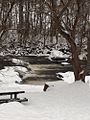 Parc Jean-Roger-Durand et rivière Saint-Charles (Loretteville)