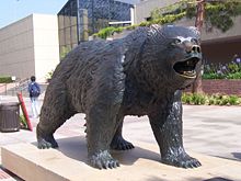 The statue of the UCLA Bruin, on Bruin Walk. The statue was designed by Billy Fitzgerald.[110]