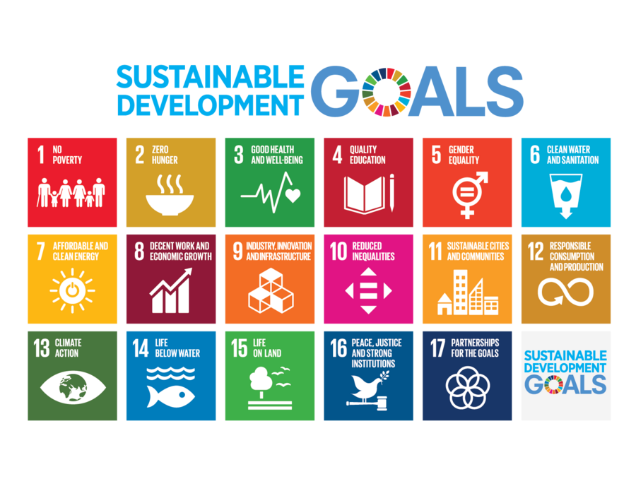 What are the 17 Sustainable Development Goals (SDGs)?