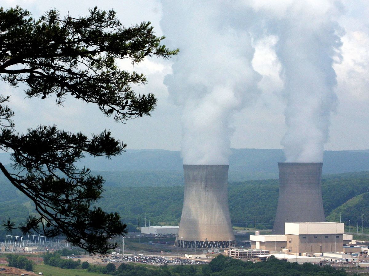 a view of two nuclear tower stacks emitting smoke with tree branches in front