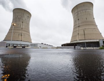 Exelon Corporation Three Mile Island nuclear generating station Unit 1 cooling towers in Londonderry Township, Dauphin County, PA. (Dan Gleiter/PennLive)