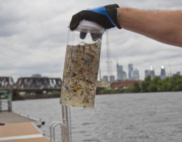 A hand holds up microplastics collected out of the Delaware River