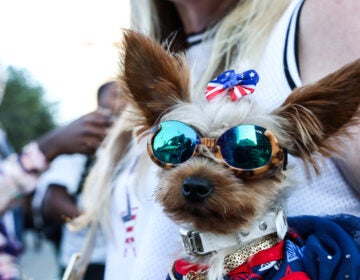 Lori Ney with her dog at the rally