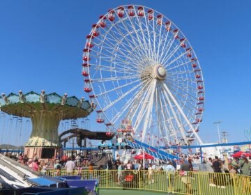 the ferris wheel and flying chair ride