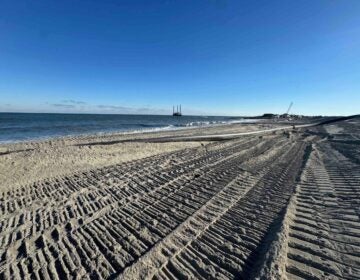 sand at the Indian River inlet