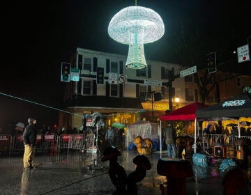 A giant mushroom hangs over Kennett Square for a new year's celebration