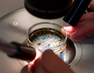 Scientists are working hard to understand the impact of microplastic pollution in the environment and in human bodies. The research requires identifying and analyzing types of microplastics particles, which can range from 1 nanometer to 5 millimeters in size. (Leonard Ortiz/MediaNews Group/Orange County Register/Getty Images)