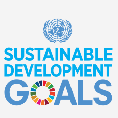 Sustainable Development Goals .:. Sustainable Development Knowledge ...