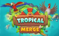 Tropical Merge