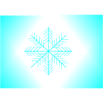 Snowflake illustration vector