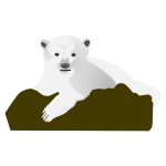 Polar bear vector image