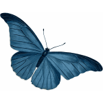 Blue Butterfly Vector