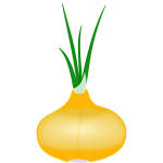 Onion with its leaves vector clip art