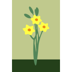 daffodils