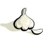 Garlic vector clip art