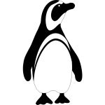 Penguin bird vector