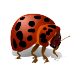 Bug vector