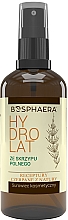 Hydrolat Schachtelhalm Bosphaera Hydrolat