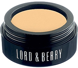 Correcteur crémeux pour visage Lord & Berry Flawless Creamy Concealer