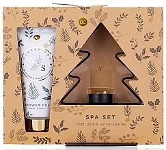 Set Accentra Winter Spa Fresh Pine & Winter Berries (sh/gel/200ml + accessories/1pcs)