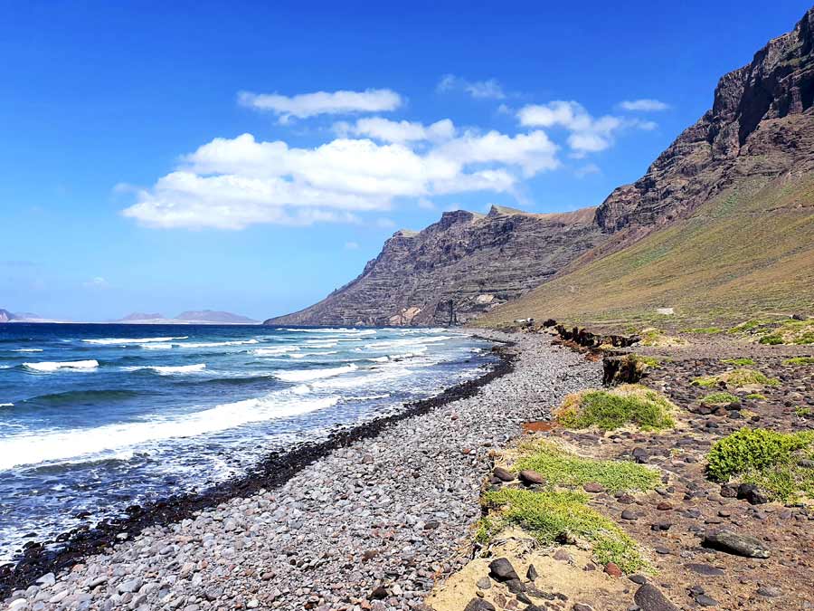 Lanzarote im Januar Erfahrungen Wetter: Grüne Büsche gedeihen am Fusse der Famara Klippen auf Lanzarote im Winter