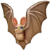 Chauve-souris