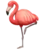 Flamant rose