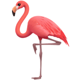 Flamant rose on Apple