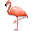 Flamant rose on LG