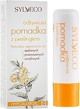 Hranilna šminka s pilingom Sylveco Rich Exfoliating Lip Balm