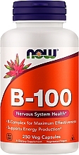 Κάψουλες Βιταμίνη Β-100 Now Foods Vitamin B-100 Veg Capsules