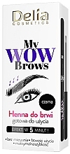 Delia My Wow Brows Χένα φρυδιών