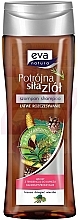 Šampon proti lupům pro mastné vlasy "Bříza, dehet a vrba" Eva Natura