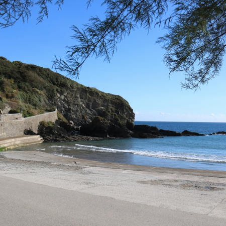 Caerhays Estate - The Coast