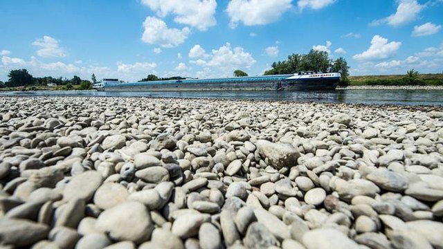 Absolutes Niedrigwasser auf der Donau | Foto: DVZ