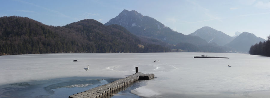 eisbedeckter Fuschlsee, Ansicht vom Westufer bei der Schlossfischerei