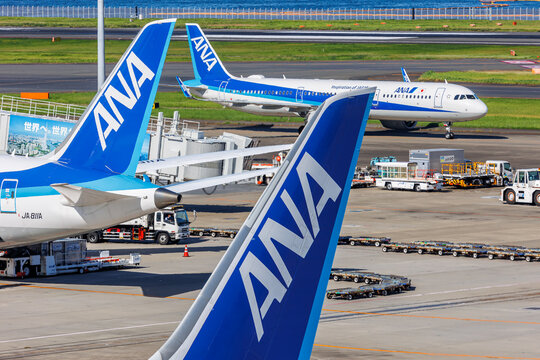 Tails of ANA All Nippon Airways airplanes at Tokyo Haneda Airport in Japan