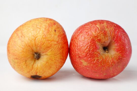 apples with holes and rot