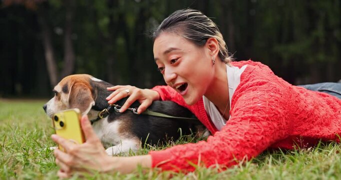 Woman, dog and video call with smile at park, wave and love with phone, excited and relax on lawn. Person, animal and pet beagle puppy with care, loyalty and happy with mobile app on grass in Japan