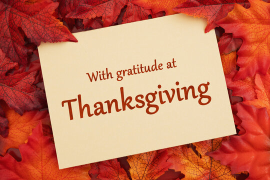 With gratitude at Thanksgiving greeting card with fall leaves