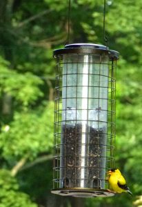 American Goldfinch Birdhouse