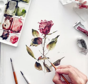 rose zeichnen mit wasserfarben für anfänger