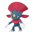 Weavile