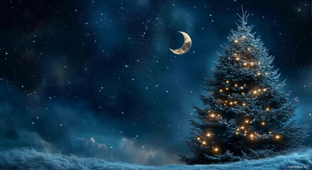 A Christmas tree with a celestial theme, adorned with stars and moon ornaments.