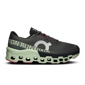 Scarpe running uomo On Cloudmonster 2 Asphalt/Lima