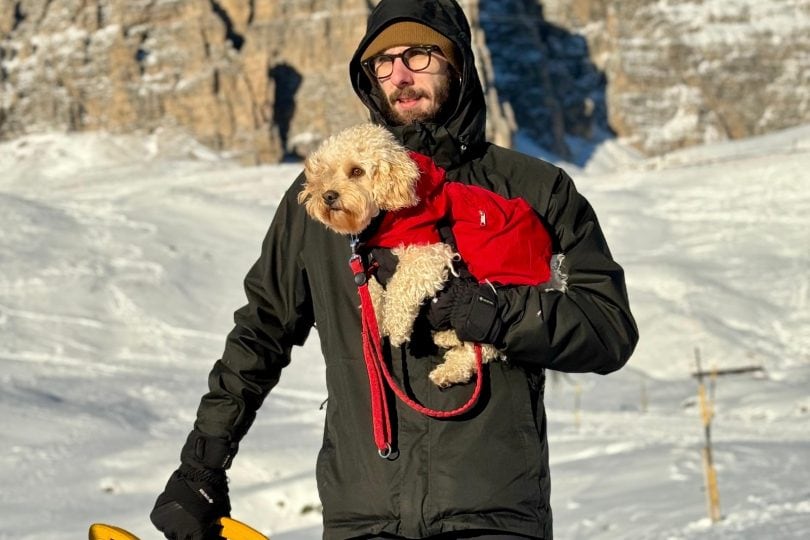 Intervista a Chico, il cagnolino più amato del web