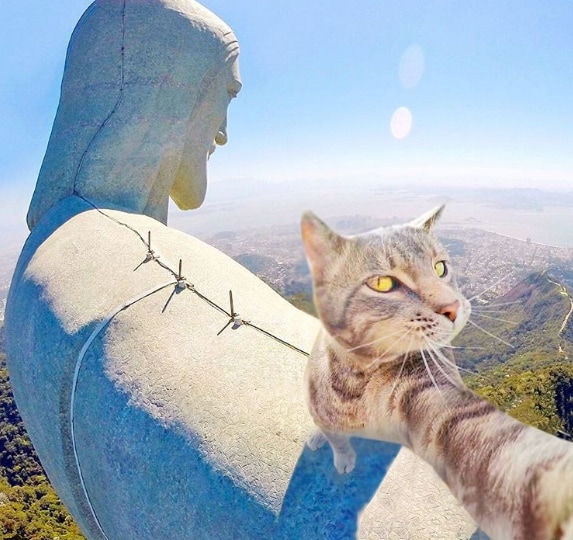 Selfie… da gatto! Gli autoscatti del micio Manny